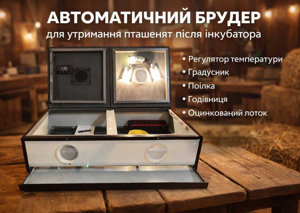 Брудер автоматичний з обігрівом для утримання пташенят після інкубатора, до 100 голів