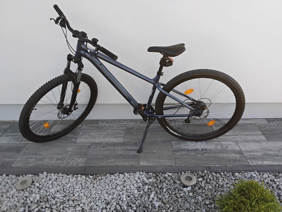 Rower Rockerider 29