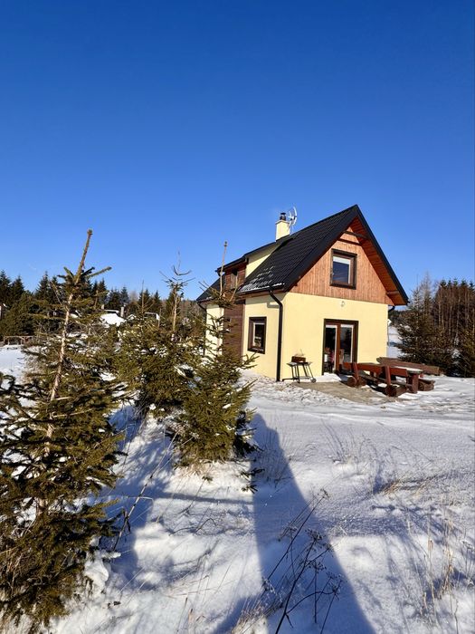 Domek Zieleniec, góry Orlickie Lasówka