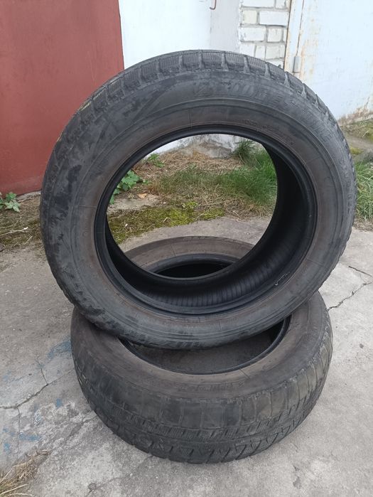Шини зимові Bridgestone blizzak revo gz 205/60 r16