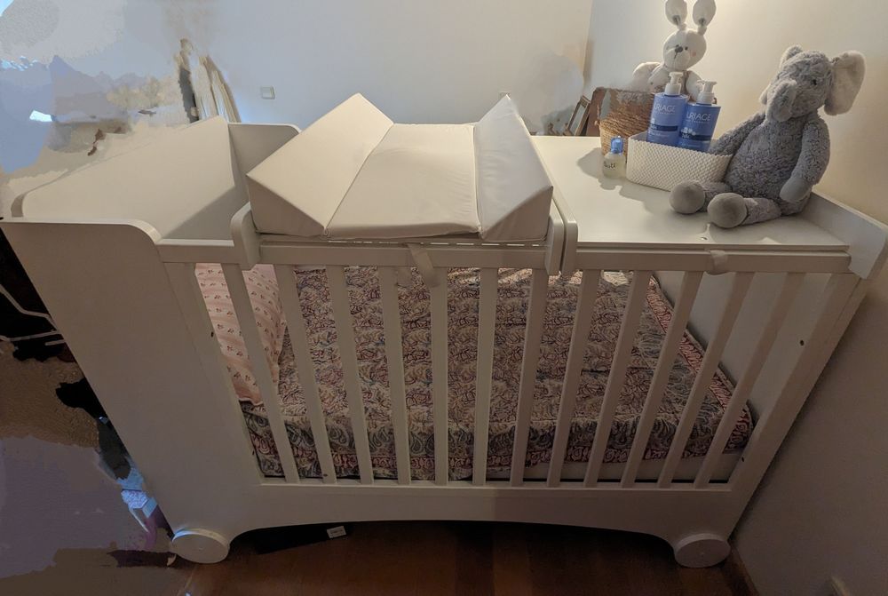 Berço Evolutivo  Trama