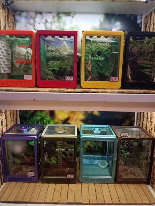 Terraria skakun terrarium i akcesoria skakuny różne kolory i warianty