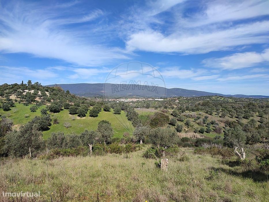 Terreno  para venda