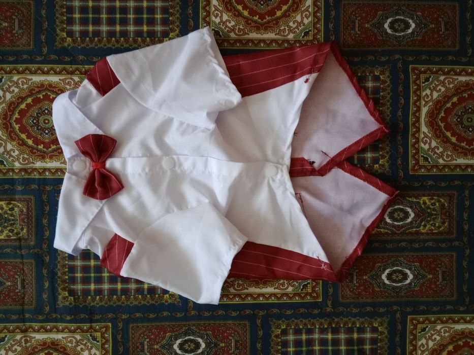 Одяг для собак і аксесуари