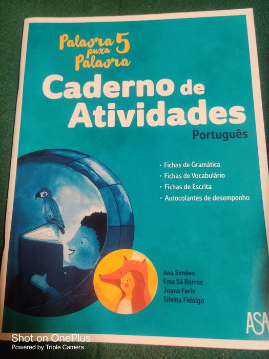 Livros Escolares 5º e 6º Ano em Excelente Estado - Oportunidade Única!