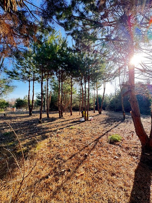 DZIAŁKA REKREACYJNA 591 M² | 600 m od plaży | Chańcza