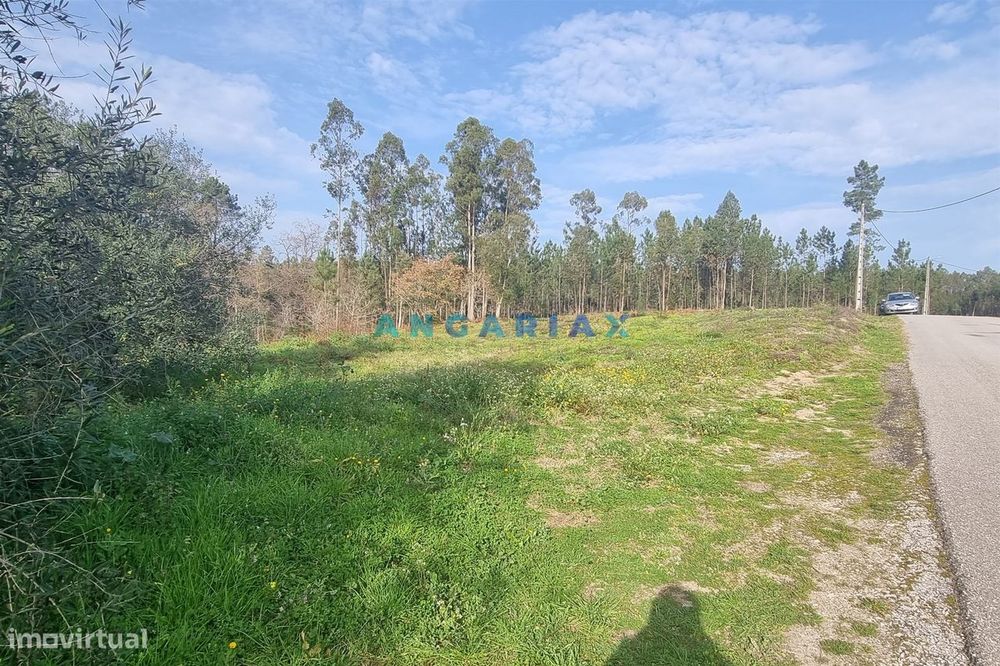 ANG1017 - Terreno de 4174m2 à Venda em Maceira, Leiria