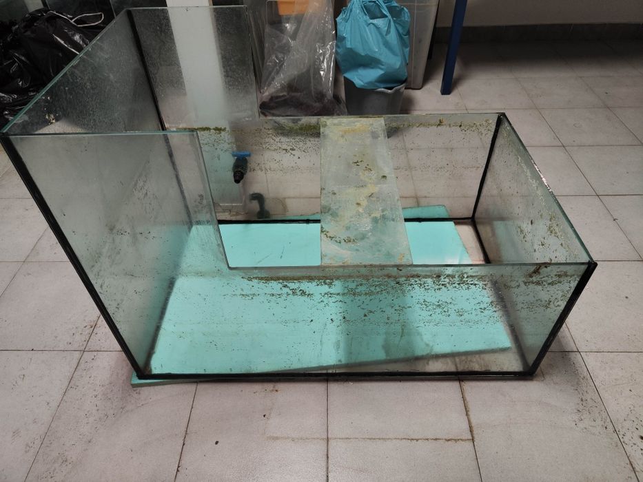 Sump 100x60 convertida em aquário