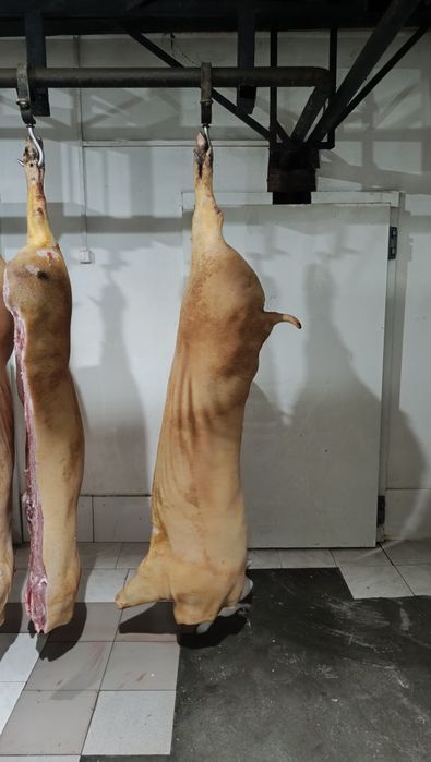Туши, Свинина, Мясо