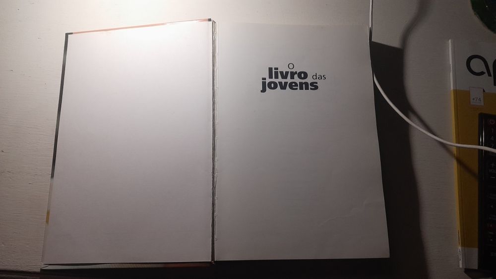 O livro das jovens  - respostas simples a questões  quase sempre compl