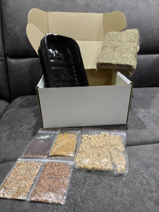 Набір для вирощування мікрозелені (Легкий старт)