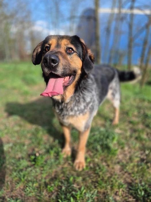 Wyjątkowy Butryn szuka swojej rodziny!
