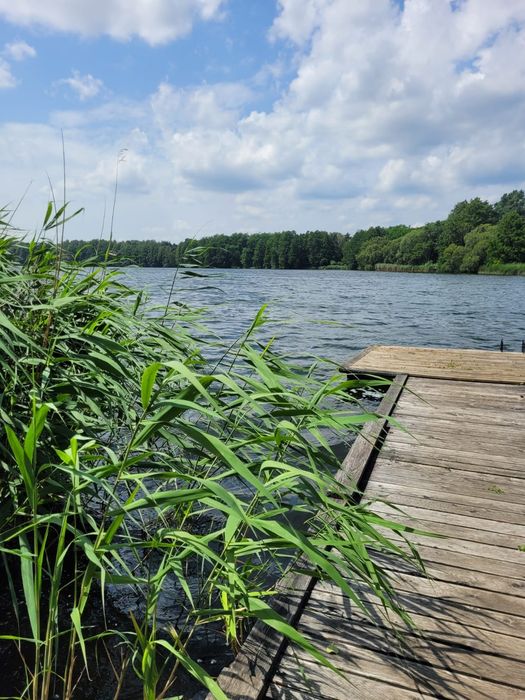 Noclegi,Agroturystyka Pokoje u Basi nad jezioremWysoka! WOLNE TERMINY!