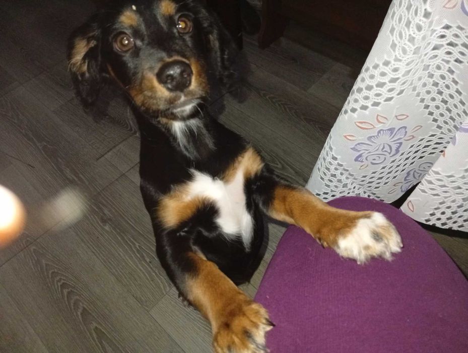 Дівчинка 3 місяці