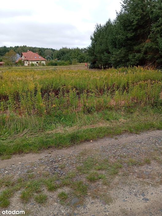 Na sprzedaż działka budowlana 1300m² z mediami w Uskorzu Wielkim