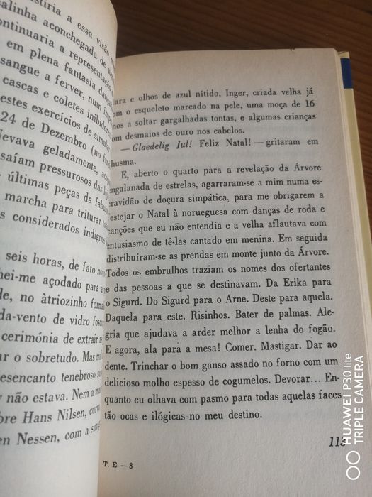 Tempo escandinavo de José Gomes Ferreira