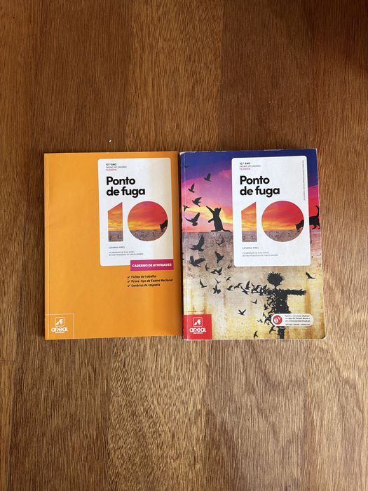 Livro Ponto de fuga 10 ano e caderno de atividades