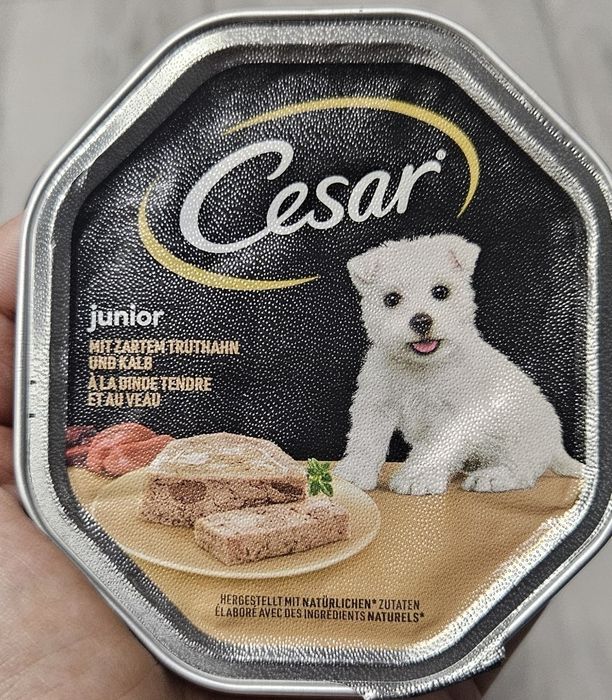 Karma dla psa Cesar Junior 150 g, 42 szt