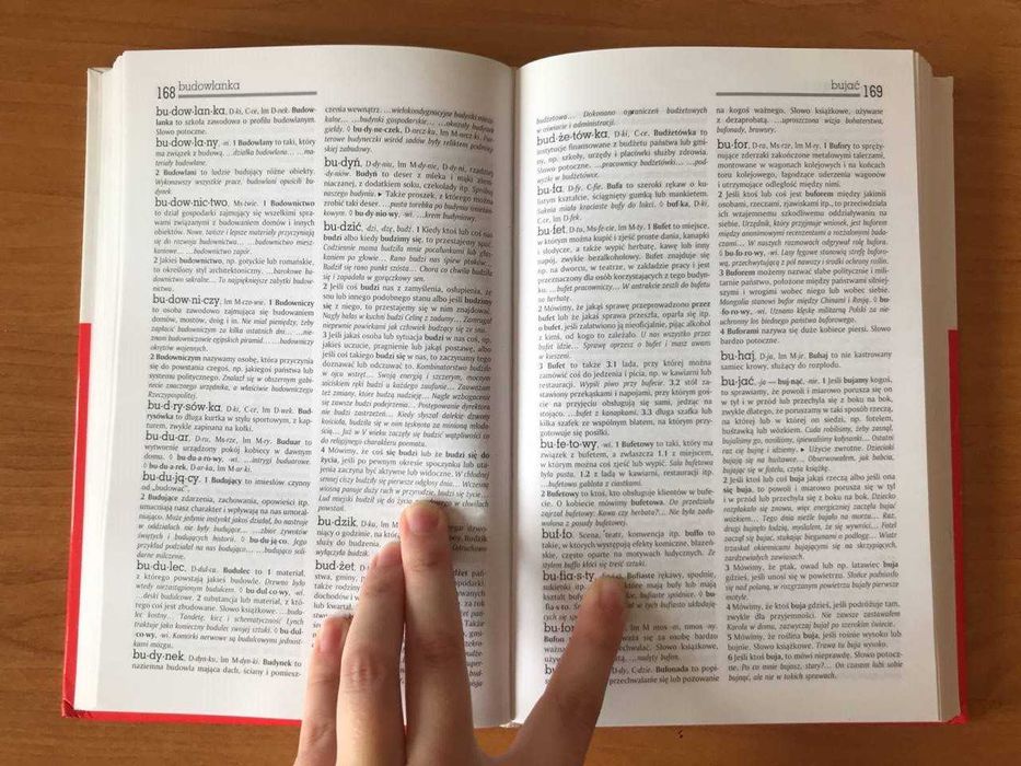 Słownik języka polskiego tom 1 i 3
