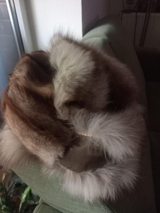 Czapka futrzana.