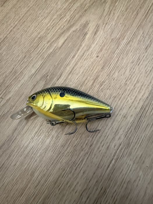 Amostra pesca nova