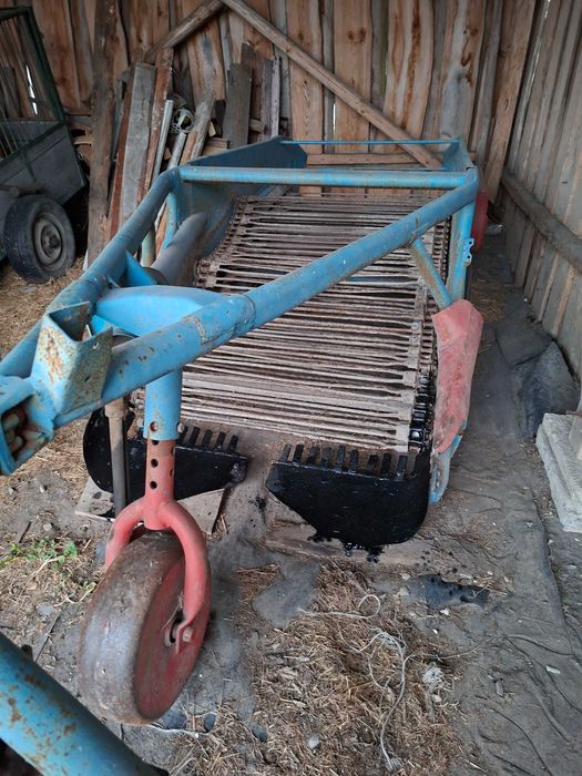 Kopaczka dwurzędowa