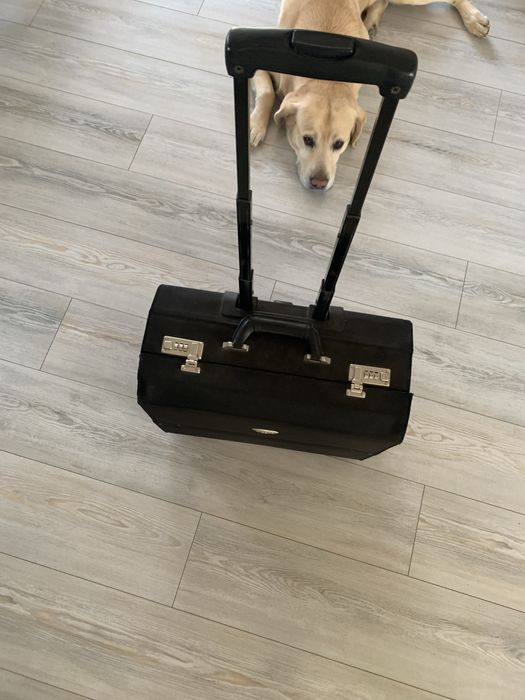 Walizka na kółkach Dicota