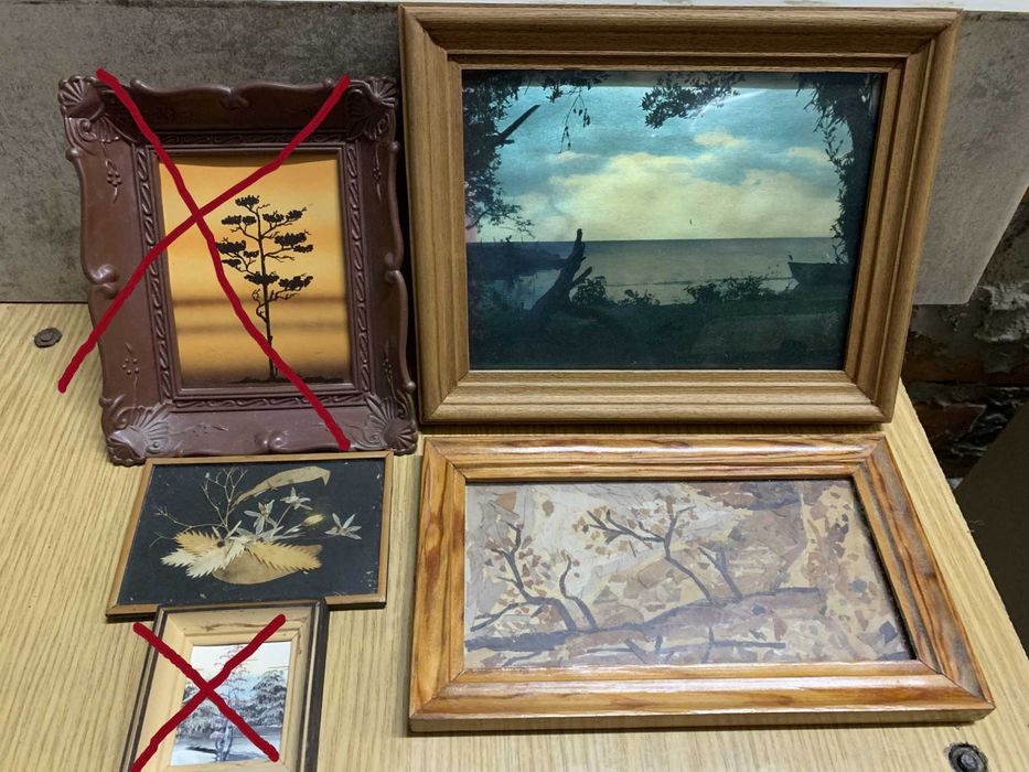 Картины 3 вида сухоцвет