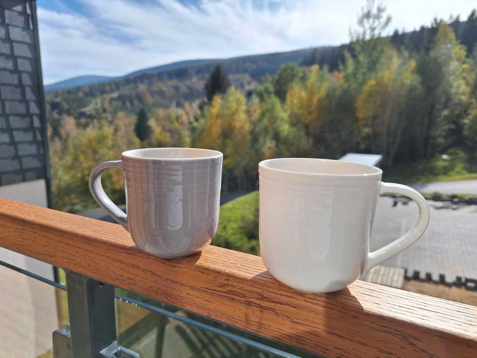 Apartament na wynajem Świeradów-Zdrój, Sky Walk, Singletrack, Narty.