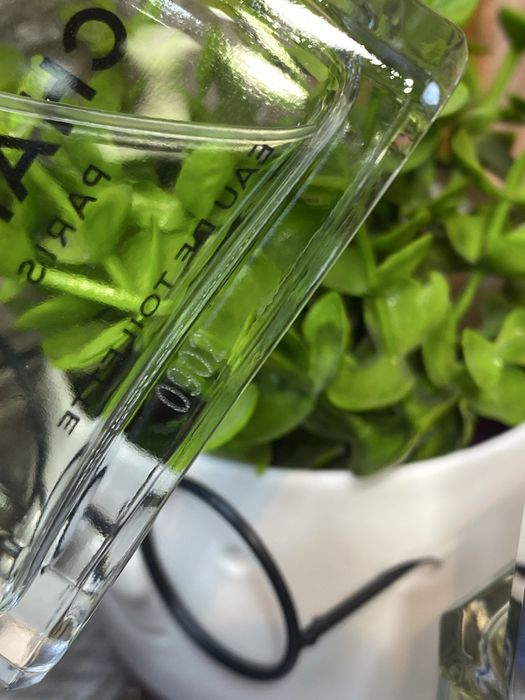 Chanel Egoiste Platinum 100 ml