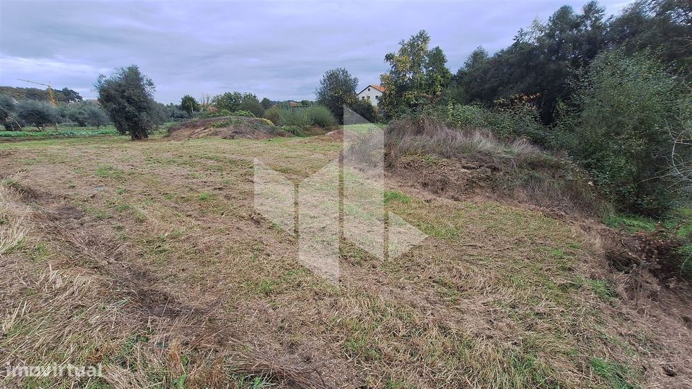 Terreno Para Construção  Venda em São Miguel do Outeiro e Sabugosa,Ton