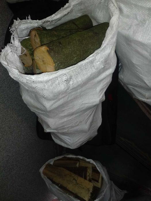 Drzewo-Tanio-Polecam