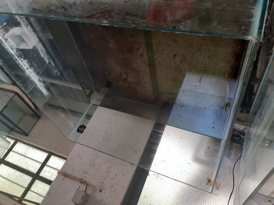Aquário tanque criação 1metro x 1metro