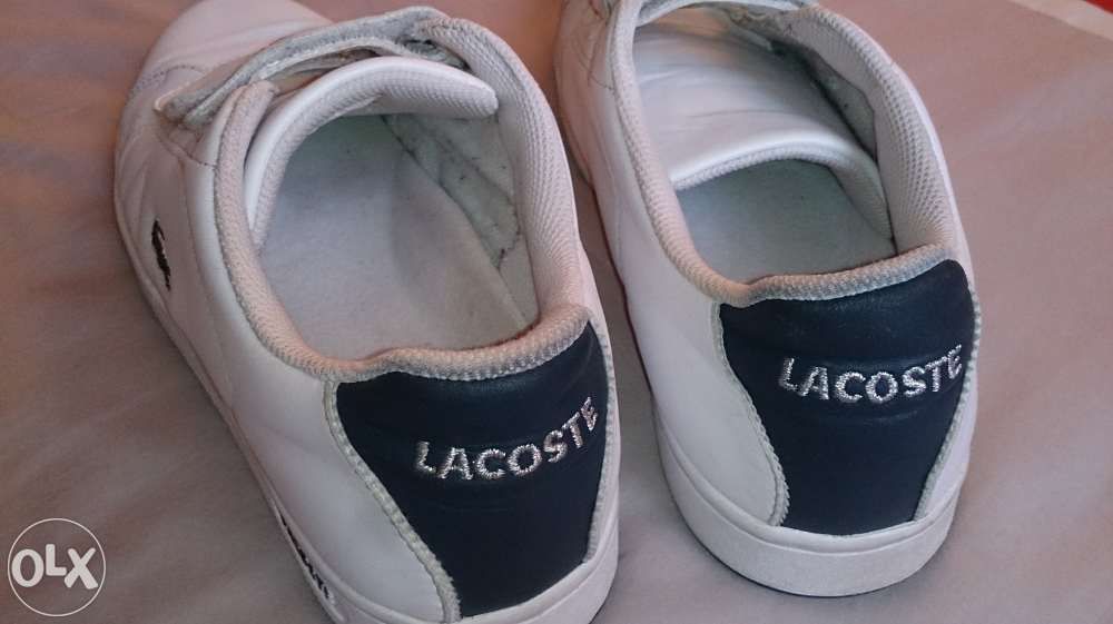 Buty Lacoste 42 - 42,5 Lublin Warszawa