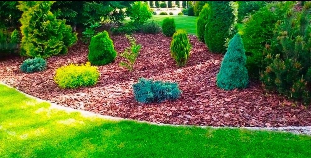 Соснова кора для ландшафта