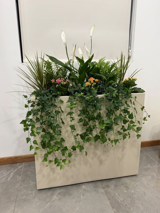 Floreira Moderna com Plantas Naturais
