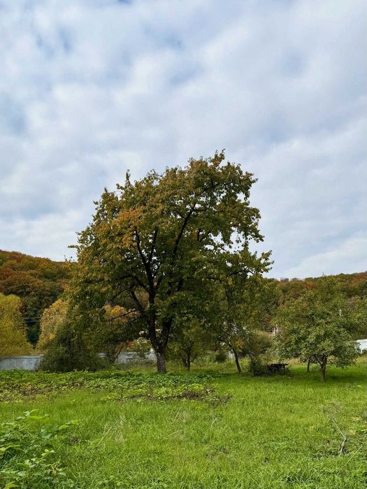 Продається унікальна земельна ділянка