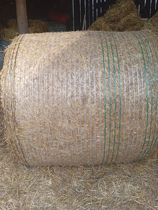 Sprzedam słomę bele 120cm