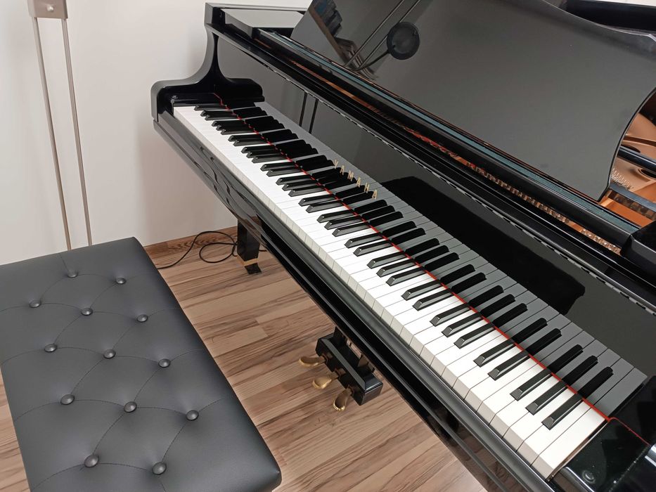 Nauka gry na pianinie, fortepianie, keyboardzie.