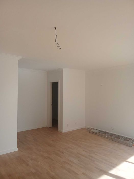 Sou pintor profissional