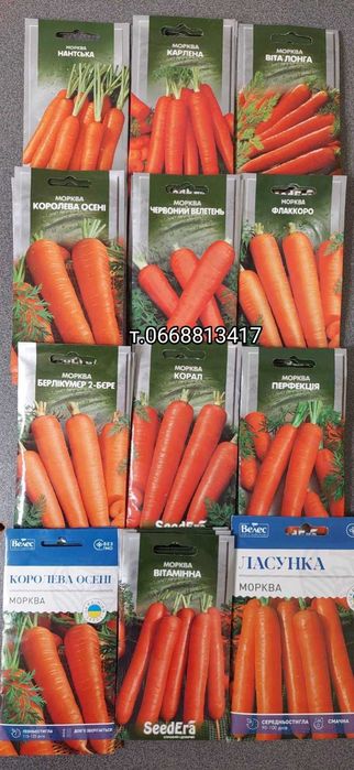 Насіння Моркви Лагуна Абако Канада Шантане Нантес Оленка Червоний Веле