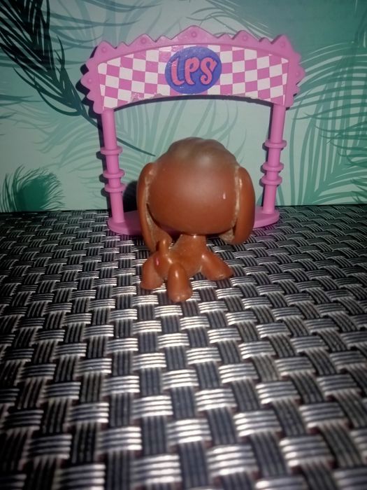 Pies Basset LPS #77 Hasbro