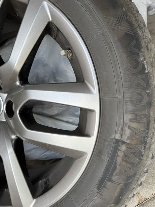 Lexus oryginalne kola