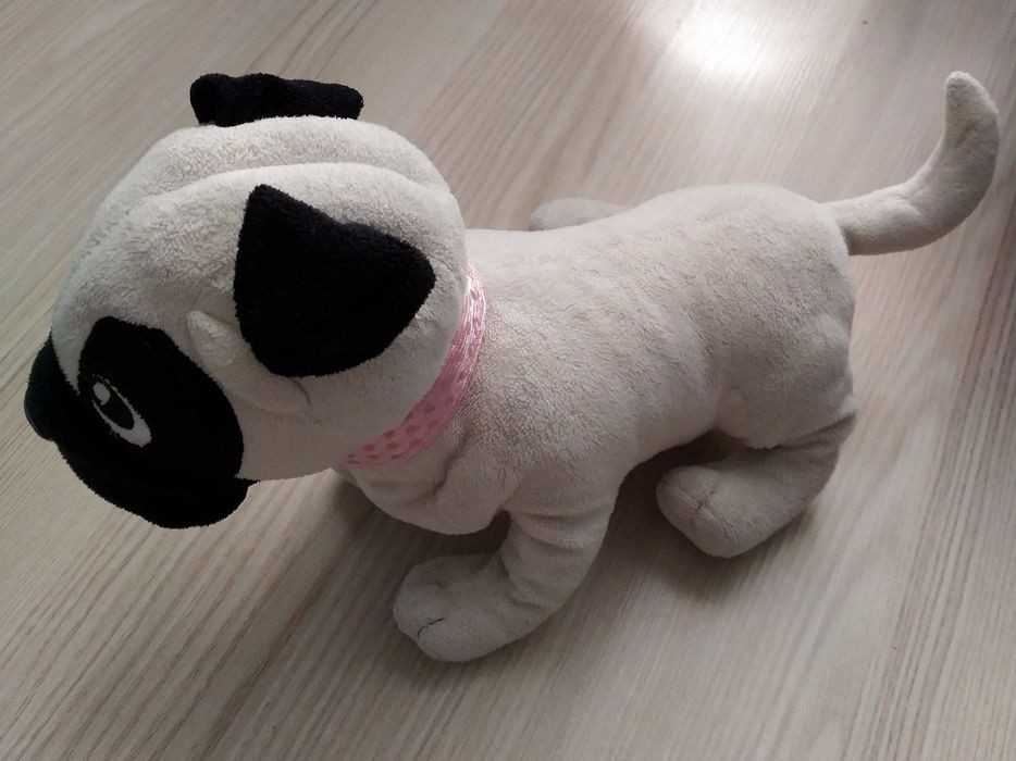 Мопс Chi chi love мопсик собачка pug + сумочка + подарунок рюкзак мопс