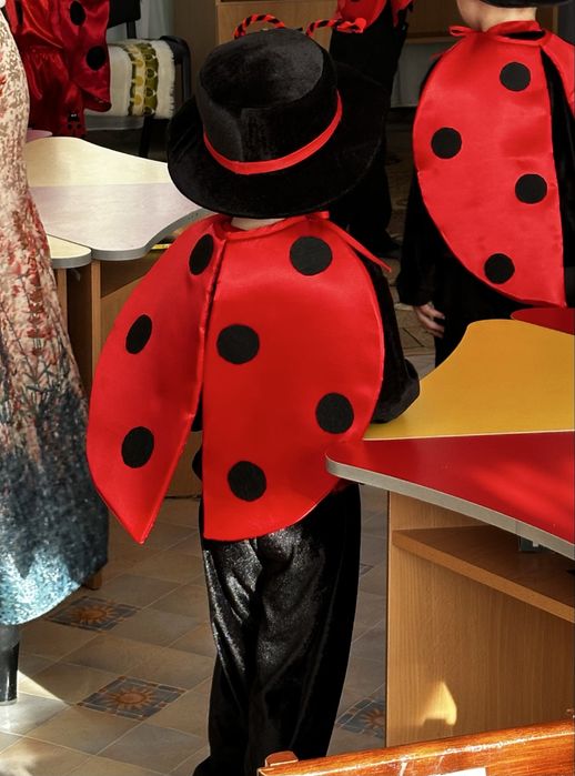 Костюм божої корівки