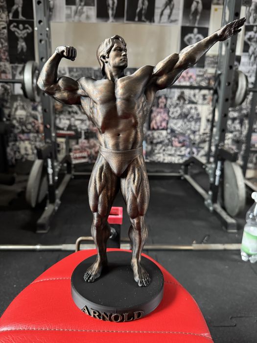 Arnold Schwarzenneger - figurka 37cm siłownia kulturystyka fitness