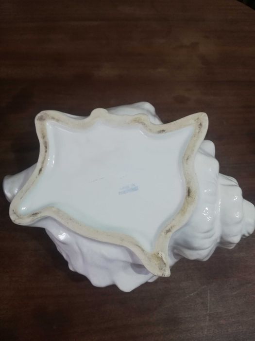 Conch-shaped Jug425285995988275202