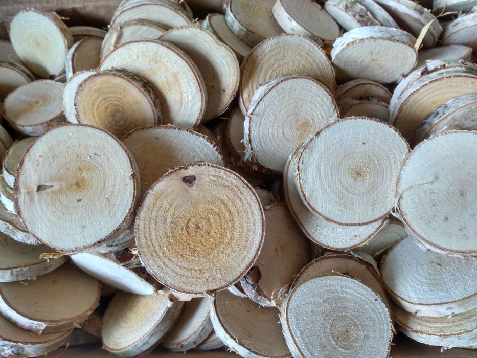 Plasterki drewna brzozowego krążki szlif ok 8 cm,