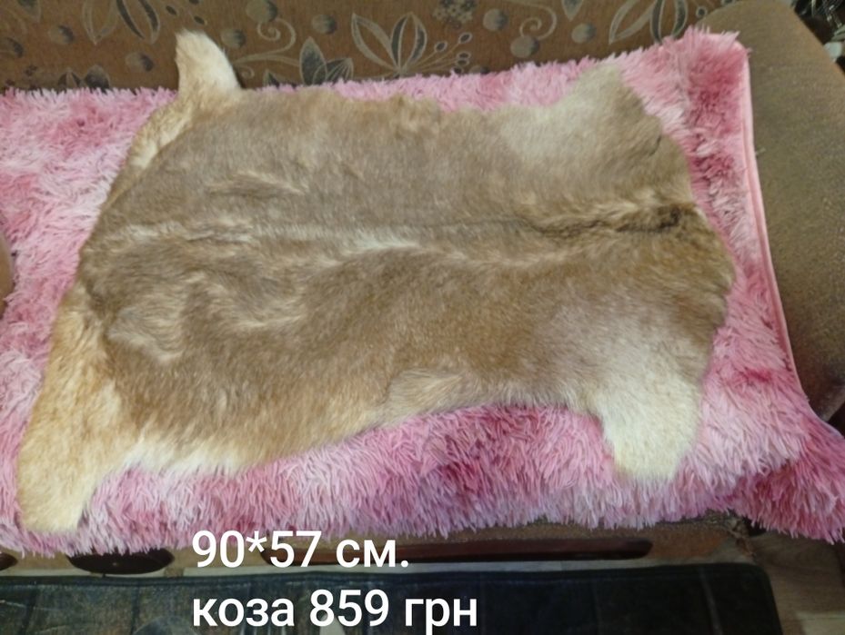 Шкури коза овечка  різні від 400грн