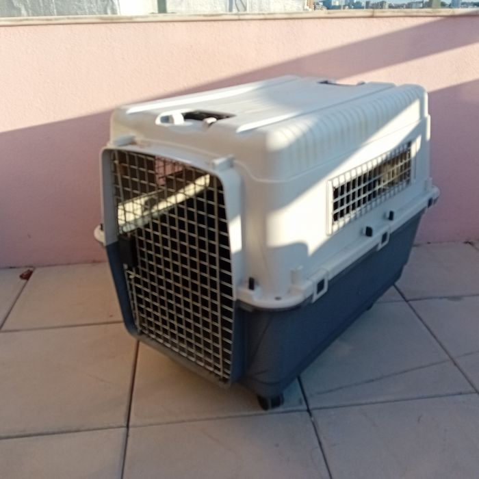 Caixa de transporte para animais